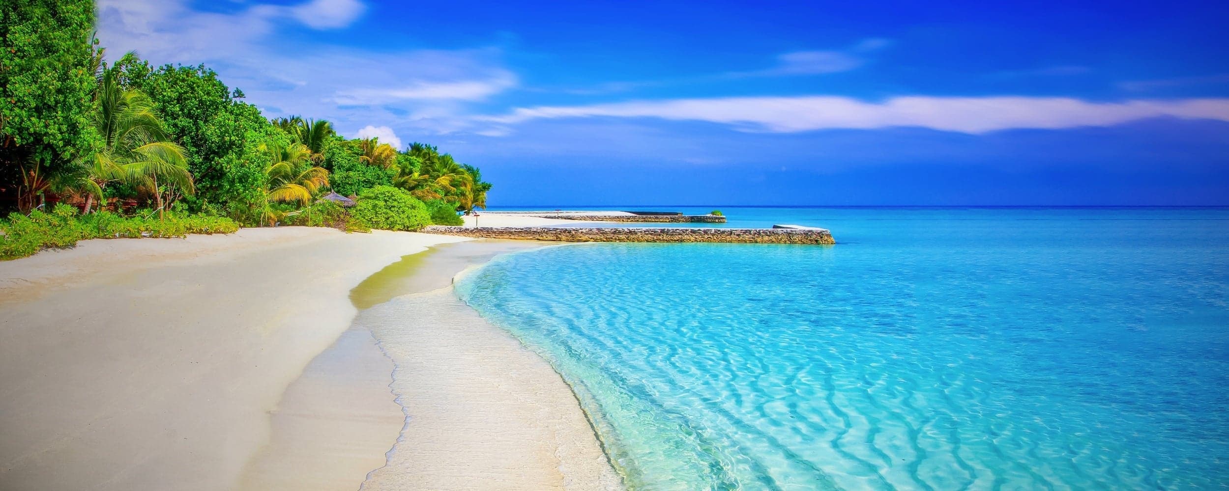 Royal Dominican Transfer — scenic Dominican Republic road